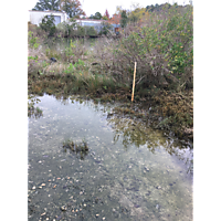 York/Poquoson King Tide image